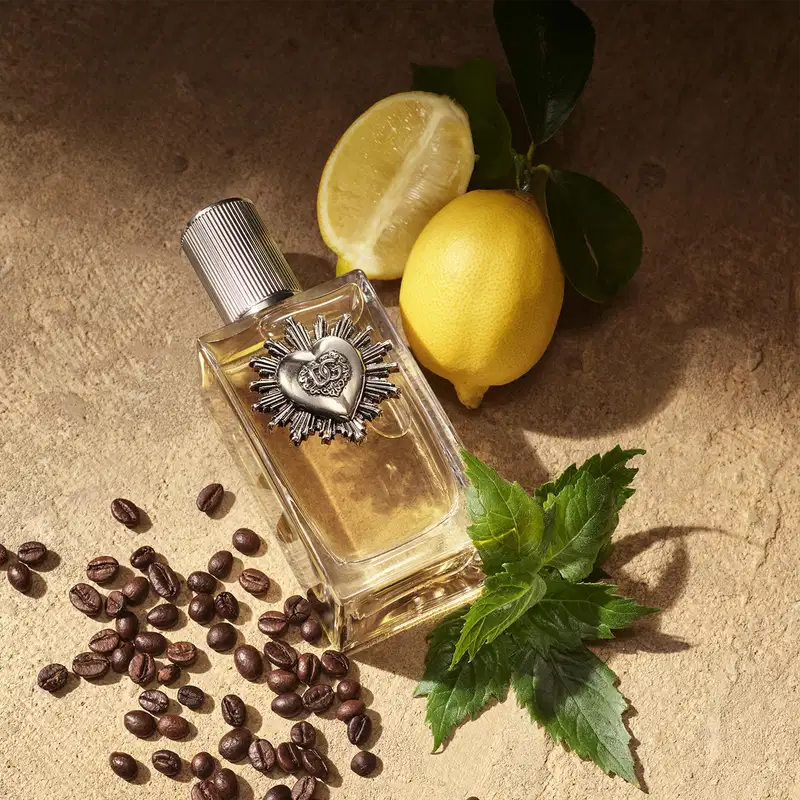 Devotion for Men Dolce & Gabbana Eau de Parfum - Perfume Masculino 50ml
