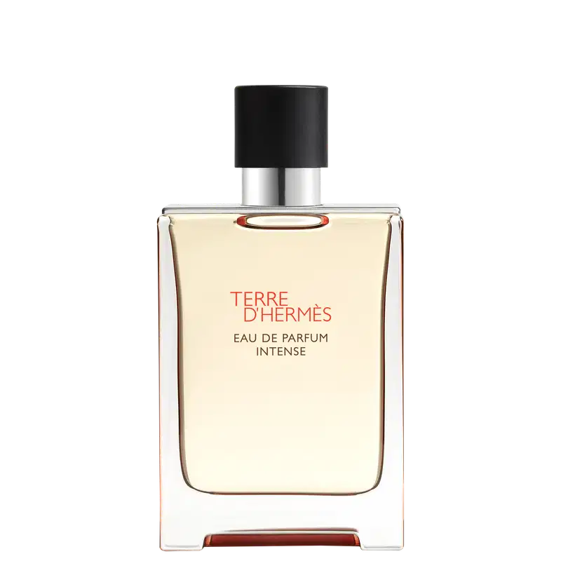Terre d’Hermès Intense Hermès Eau de Parfum - Perfume Masculino 100ml