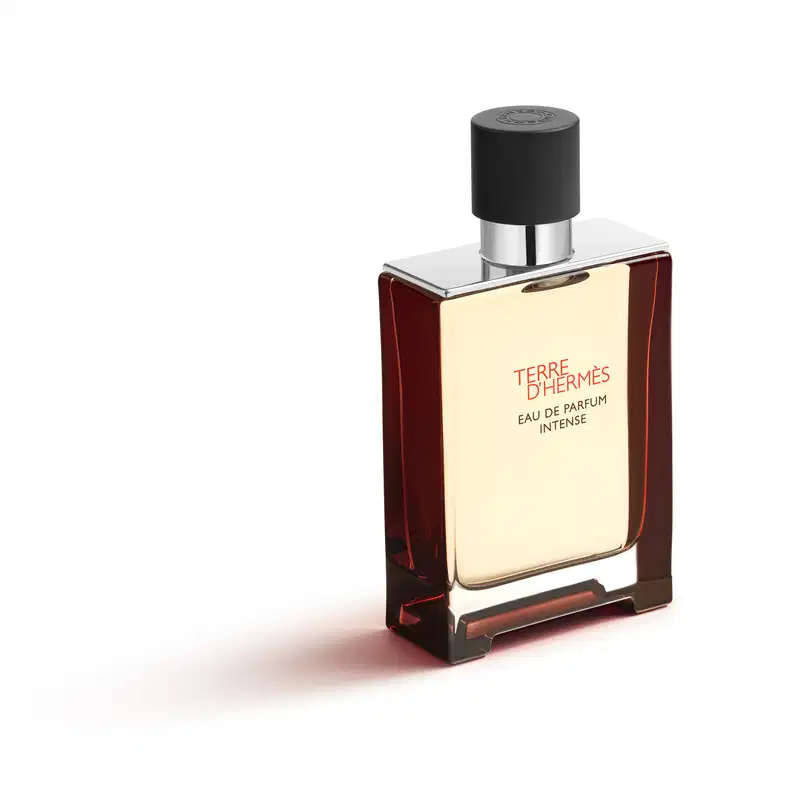 Terre d’Hermès Intense Hermès Eau de Parfum - Perfume Masculino 100ml