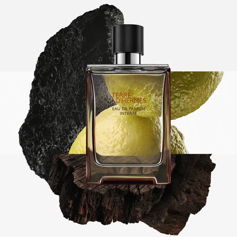 Terre d’Hermès Intense Hermès Eau de Parfum - Perfume Masculino 100ml