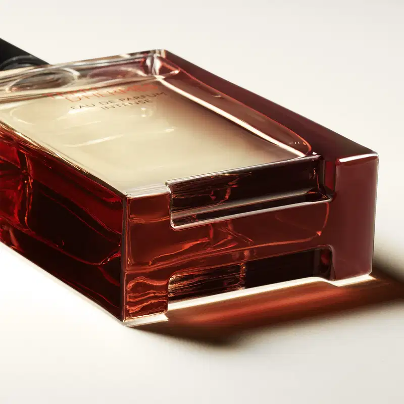 Terre d’Hermès Intense Hermès Eau de Parfum - Perfume Masculino 100ml