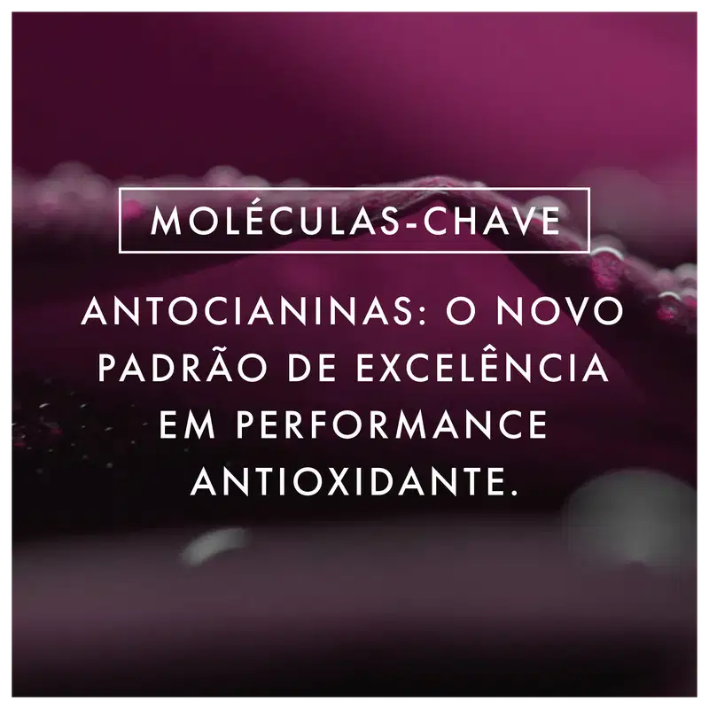 Imagem com texto: moléculas-chave. Antocianinas: o novo padrão de excelência em performance antioxidante.