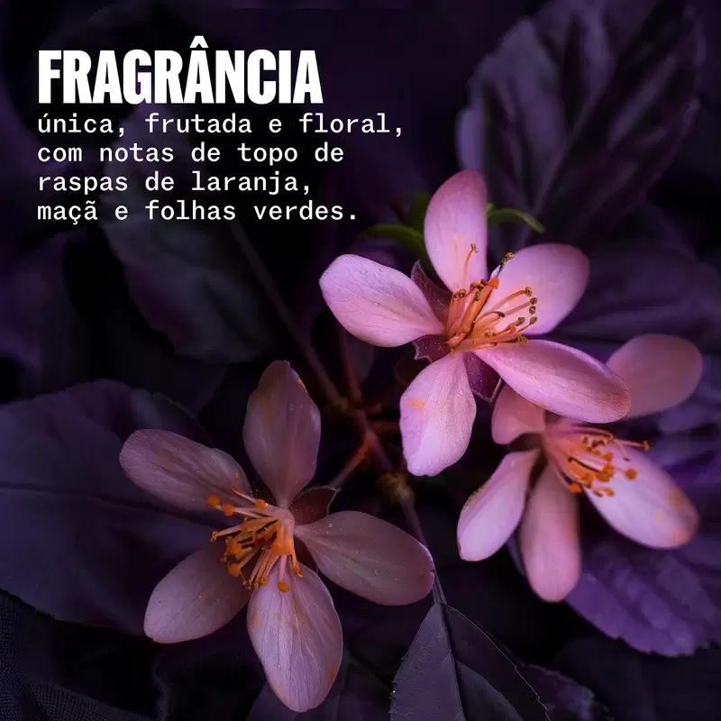 A imagem apresenta flores e o texto: Fragrância única, frutada e floral, com notas de topo de raspas de laranja, maçã e folhas verdes.