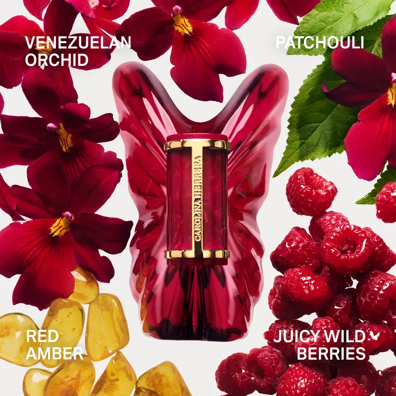 Conjunto La Bomba Intensa Carolina Herrera Refilável Feminino - Eau de Parfum 50ml + Eau de Parfum 10ml