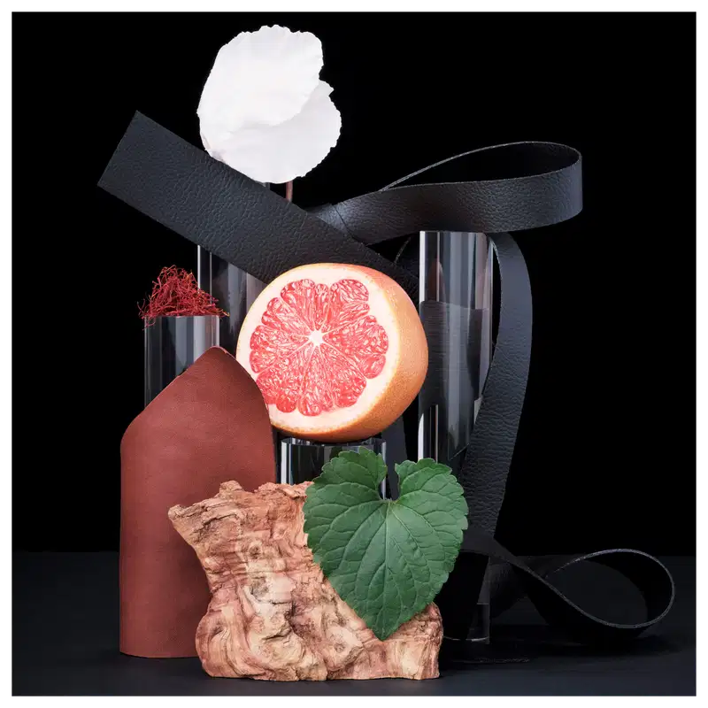 Ambiente elegante e sofisticado, com elementos naturais como folhas e frutas cítricas, em contraste com materiais escuros e estruturados, sugerindo uma fragrância ou produto de beleza da marca Carolina Herrera.