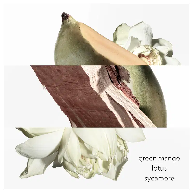 Ambiente natural com elementos botânicos, como manga verde, lótus e sicômoro, em tons neutros e terrosos, sugerindo uma fragrância inspirada na natureza, com notas frescas e amadeiradas, em sintonia com a essência da marca Hermès.