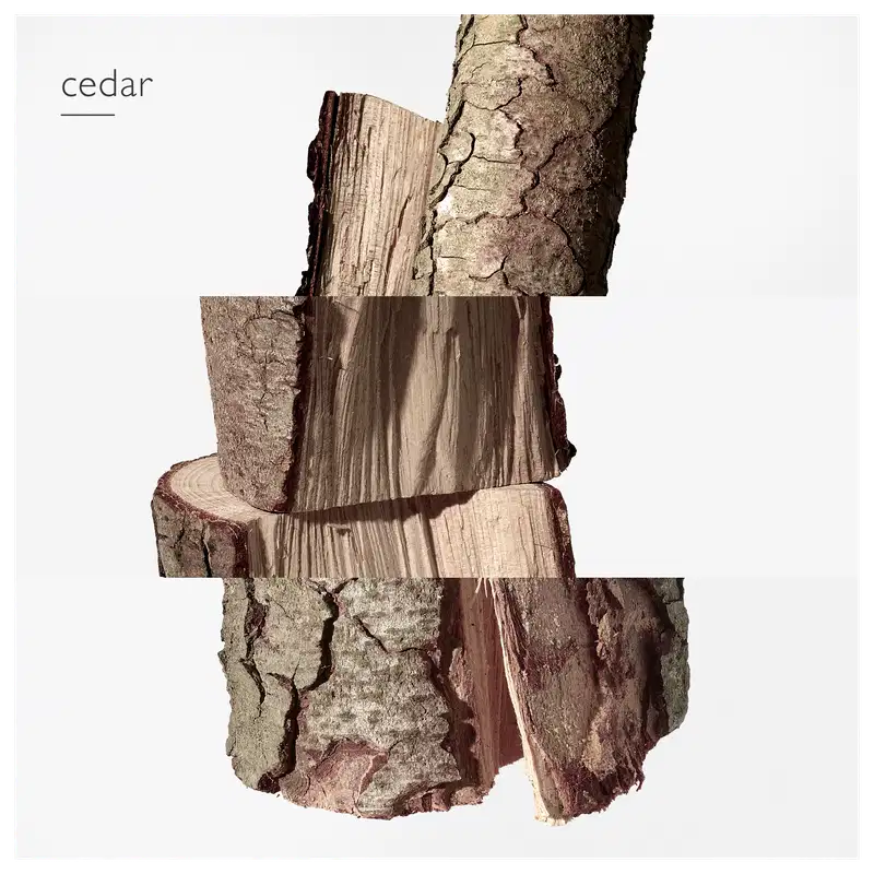 Pedaço de madeira com uma uma superfície rústica e irregular, com tonalidades de marrom e cinza, evocando a casca de uma árvore de cedro. A madeira exibe rachaduras e relevos, sugerindo uma textura áspera e natural.