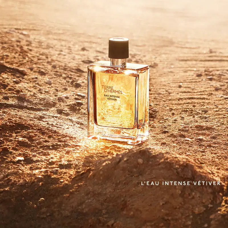 Terre d’Hermès Eau Intense Vétiver Hermès Eau de Parfum - Perfume Masculino 100ml