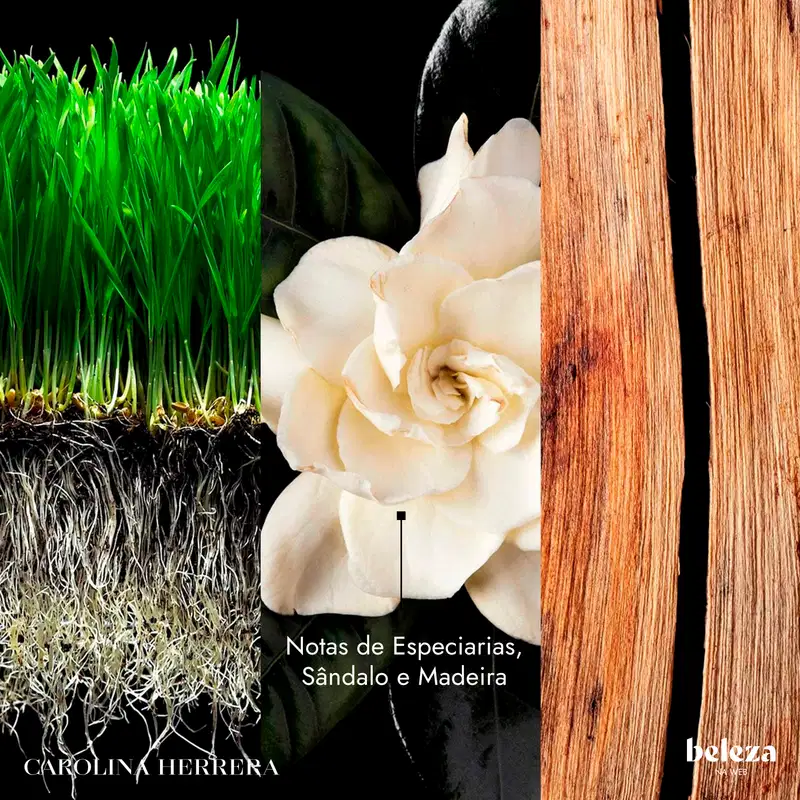 Notas de Especiarias, Sândalo e Madeira.
