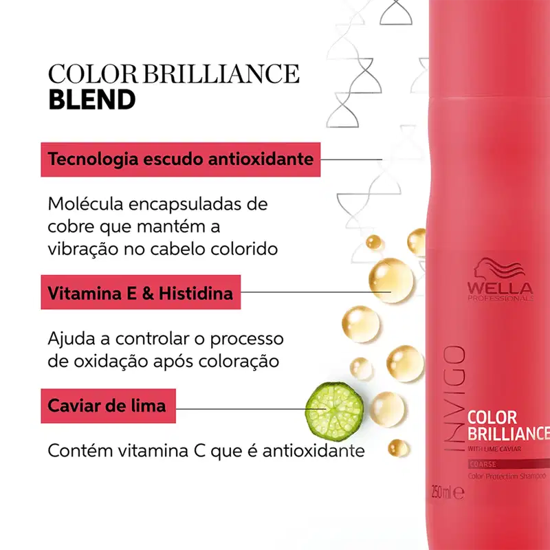 Kit Wella Professionals Invigo Color Brilliance (2 Produtos)