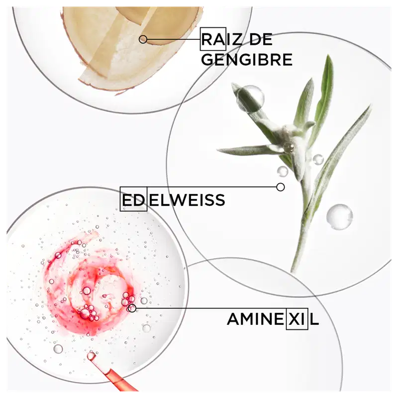 Raiz de gengibre, Edelweiss, Aminexil