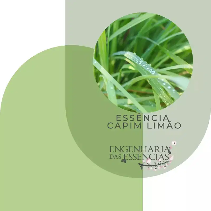 Vela Aromática Perfumada Capim Limão 110g