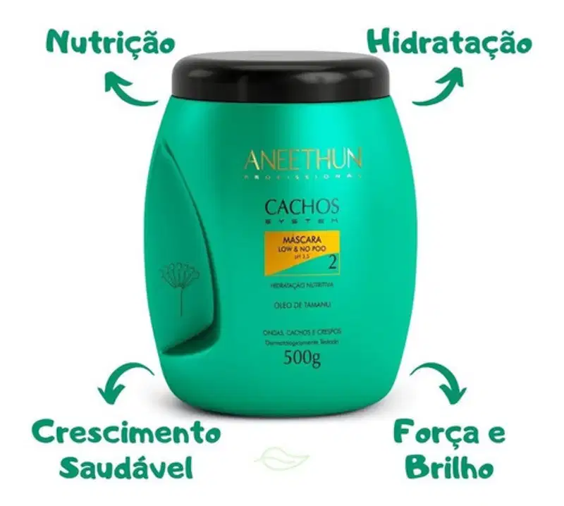 Aneethun Cachos System Co Wash, Máscara E Creme De Silicone