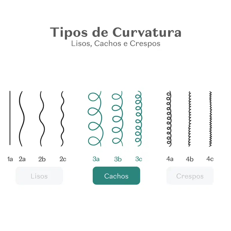 Imagem mostrando diferentes tipos de curvatura de cabelos, incluindo lisos, cachos e crespos, com legendas em português.