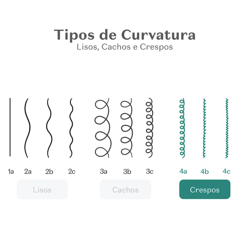 Imagem mostrando diferentes tipos de curvatura de cabelos, incluindo lisos, cachos e crespos, com legendas em português.