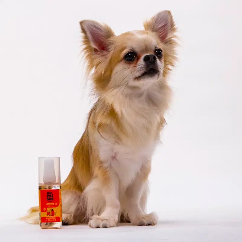 Frasco  com líquido claro, válvula spray branca e rótulo laranja e rosa com ilustrações de um gato e de um cachorro contendo colônia adultos da marca Au.Migos Pets. Ao lado do produto, um cachorro bege e branco com as orelhas em pé.