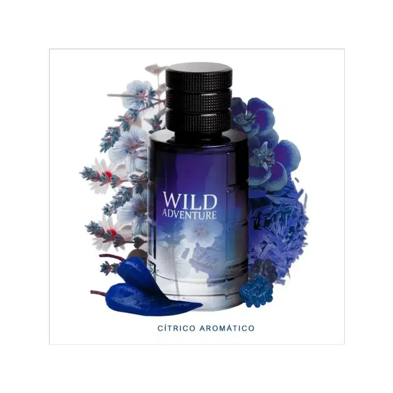 Wild Adventure Linn Young Coscentra Eau de Toilette - Perfume Masculino 30ml