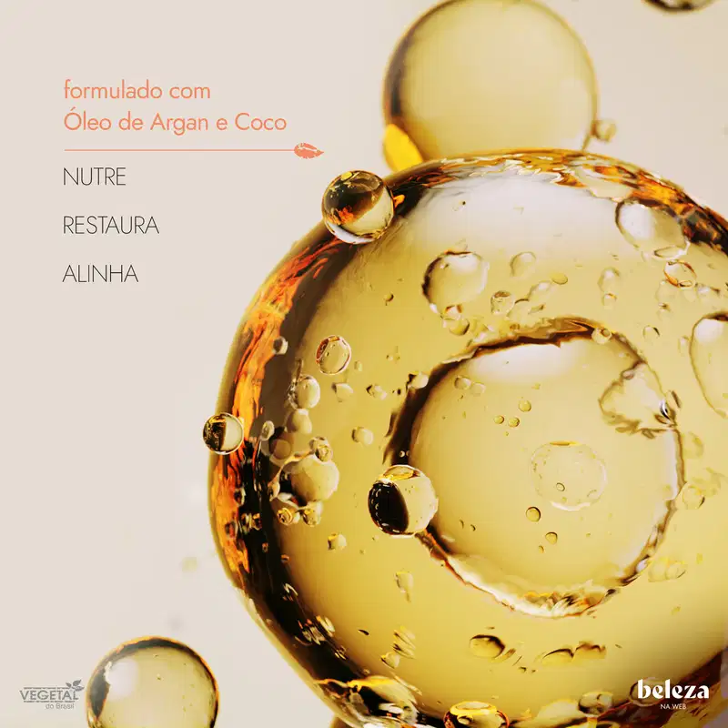 Kit Vegetal do Brasil Linha Vegetal Argan Quarteto (4 Produtos)