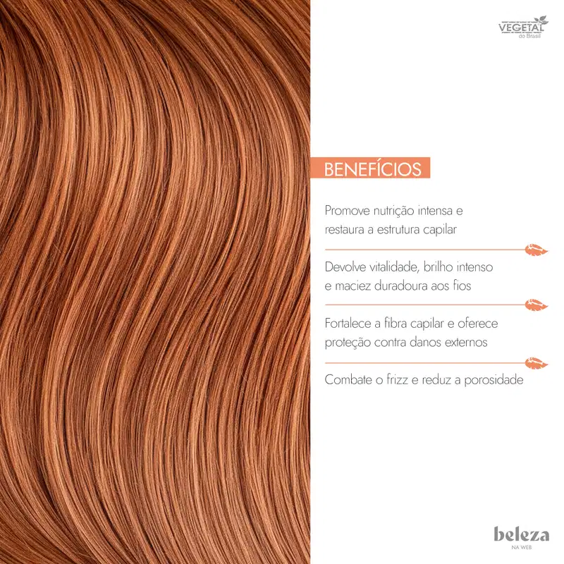 Kit Vegetal do Brasil Linha Vegetal Argan Quarteto (4 Produtos)