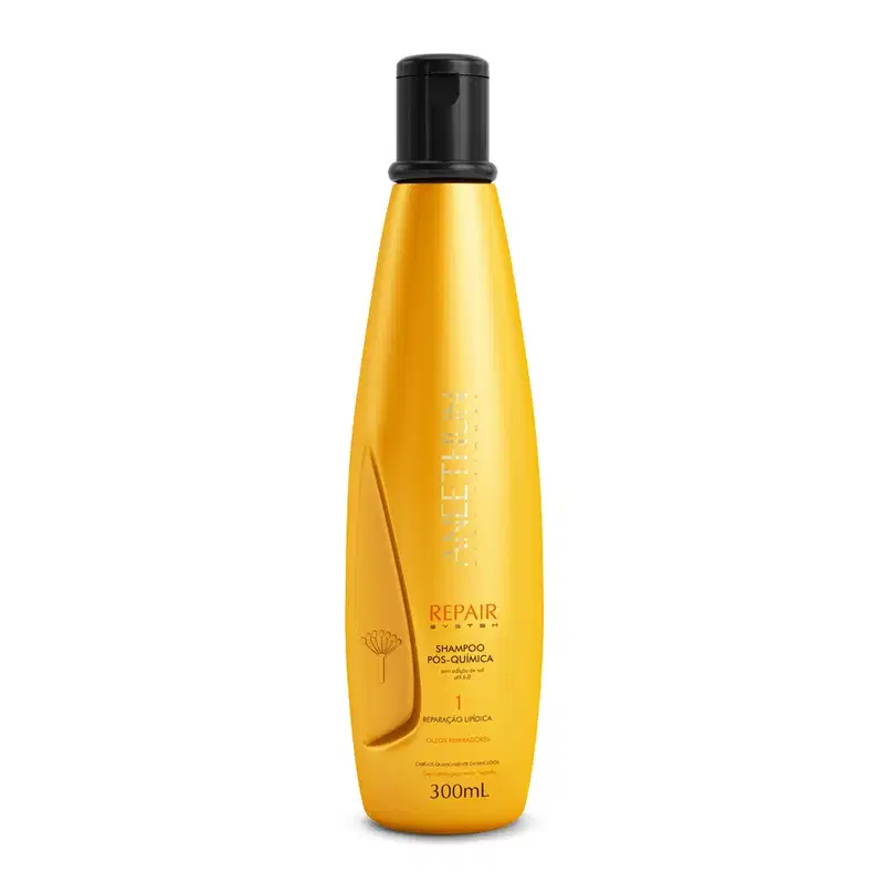 Kit Aneethun Repair System Shampoo 300ml + Máscara 250g