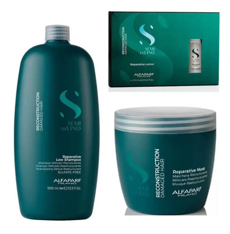 Shampoo e Máscara GD Ampola Lotion Alfaparf SDL Reconstruction