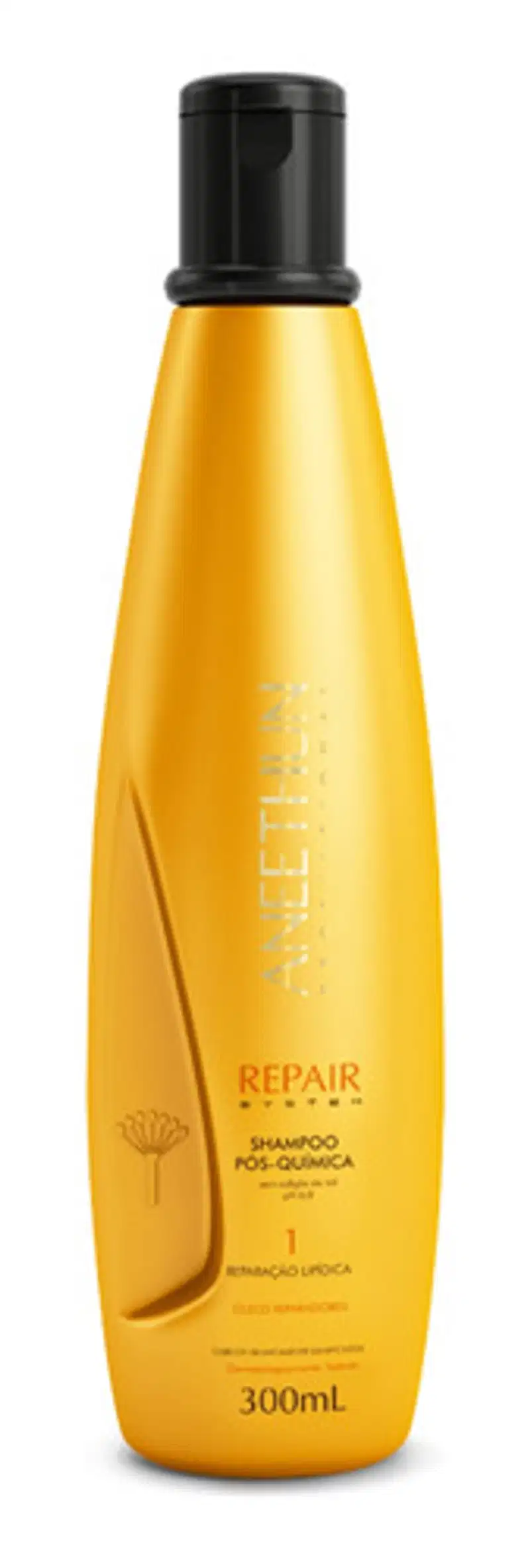 Kit Shampoo 300ml e Máscara 250g Aneethun Repair System