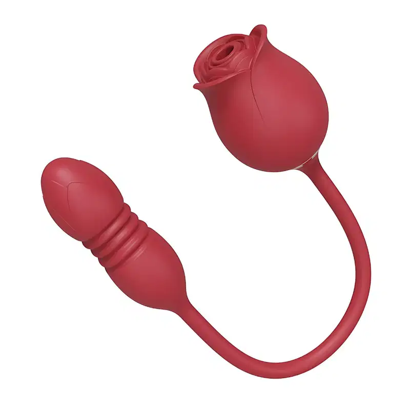 Rosa Sugador de Clitóris e Vibrador Vai e Vem 10 Modos de Vibração em Silicone Recarregável
