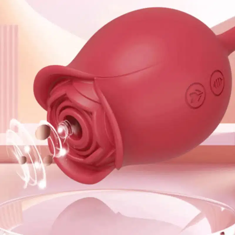 Rosa Sugador de Clitóris e Vibrador Vai e Vem 10 Modos de Vibração em Silicone Recarregável