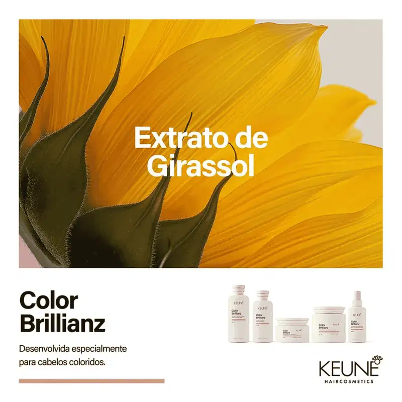 Kit Keune Color Brillianz Máscara Leave-In Proteção da Cor