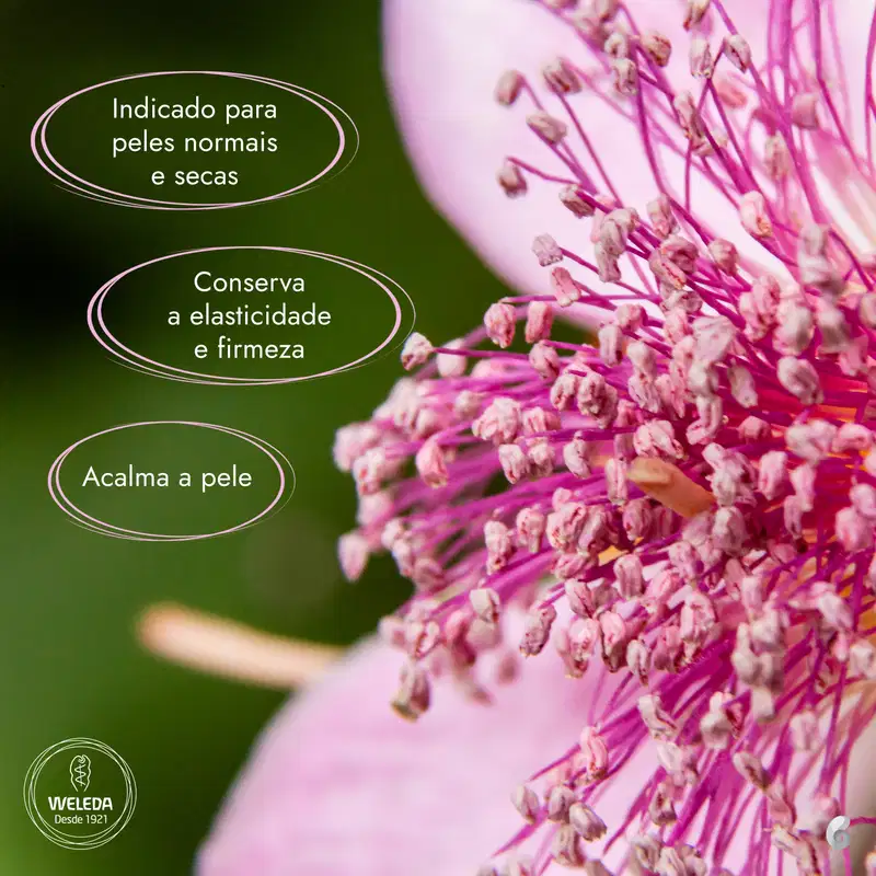 Weleda Rosa Mosqueta - Óleo Corporal 100ml