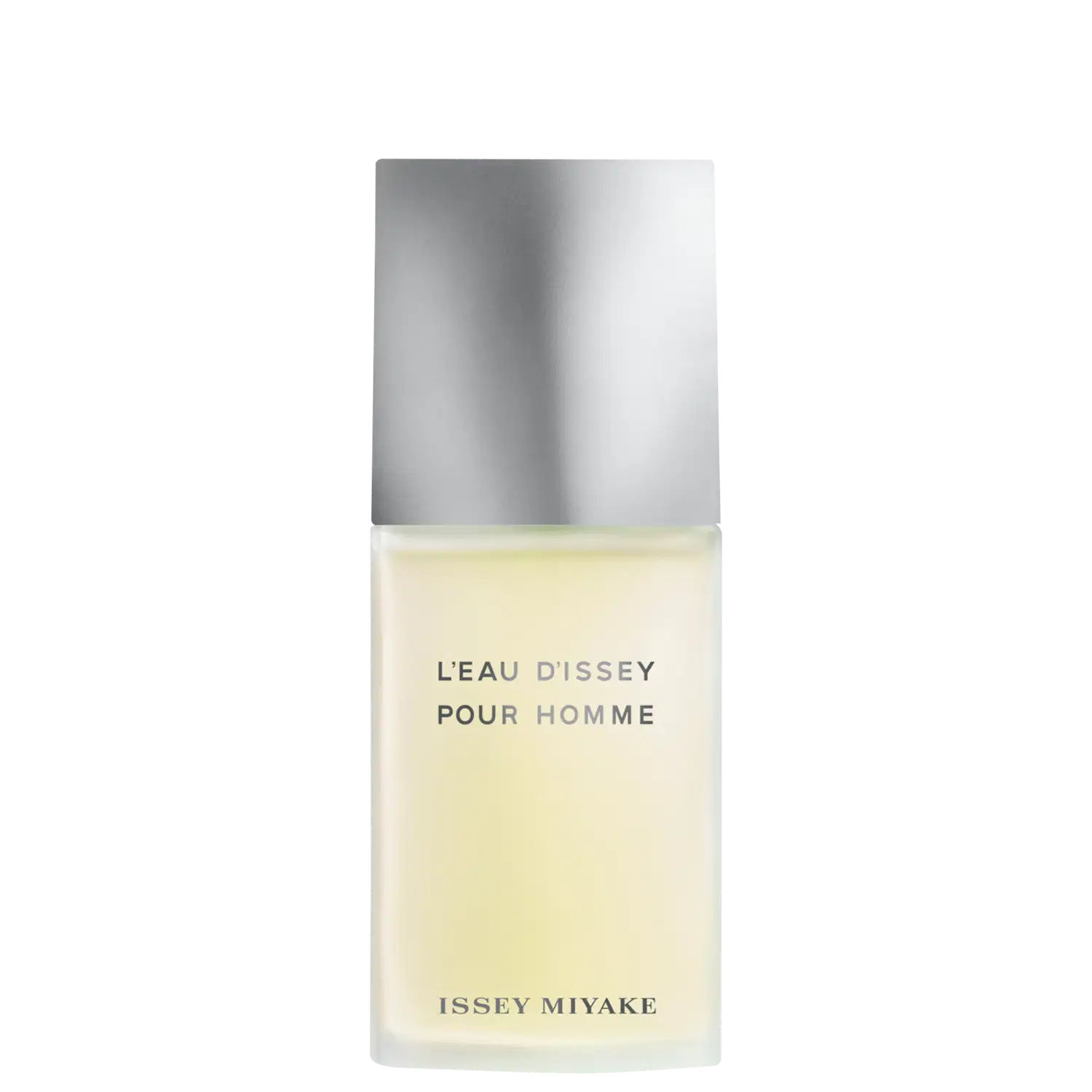 L'Eau d'Issey Pour Homme Issey Miyake Eau de Toilette - Perfume Masculino 40ml
