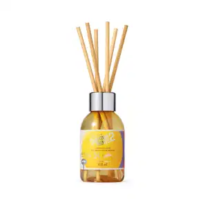 Aromatizador de Ambientes Sophie Quasar Next Divertida-Mente 2 100ml