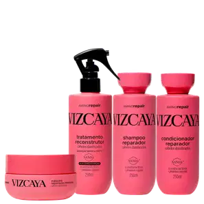 Kit Vizcaya Amino Repair Quarteto