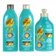 Kit Gota Óleo de Argan Uso Diário Shampoo + Cond + Creme (1)