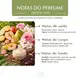 Leave-in Tropicalis Finalizador Capilar Phyto Ativo 300ml (5)