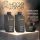 Kit Pós Química Horse Force - Hidratação, Nutrição Capilar e Brilho (3 Itens) (3)