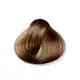 Itallian Color Premium 8.31 Louro Dourado Cinza+OXI20vol90ml (2)