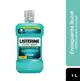 Listerine Cool Mint Hortelã Antisséptico Bucal 1L (2)