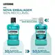 Listerine Cool Mint Hortelã Antisséptico Bucal 250ml (2)