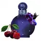 Midnight Fantasy Britney Spears Eau de Parfum - Perfume Feminino 100ml (6)