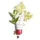 Clarins My Clarins Re-Move - Gel de Limpeza Facial 125ml (8)