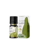Lilaz Eucalipto - Óleo Essencial 10ml (3)