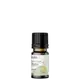 Lilaz Alecrim - Óleo Essencial 10ml (1)