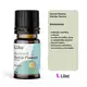 Lilaz Hortelã Pimenta - Óleo Essencial 10ml (5)