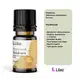 Lilaz Melaleuca - Óleo Essencial 10ml (5)