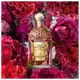Aqua Allegoria Rosa Rossa Forte Guerlain Eau de Parfum Refil - Perfume Feminino 200ml (8)