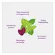 The Creams Boquinha Cream - Hidratante Labial 4g (7)