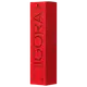 Schwarzkopf Professional Igora Royal 8-21 Louro Claro Cinza Cendré - Coloração Permanente 60ml (2)