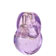 Omnia Amethyste Bvlgari Eau de Toilette - Perfume Feminino 50ml (1)