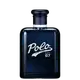 Polo 67 Ralph Lauren Eau de Toilette - Perfume Masculino 125ml (1)